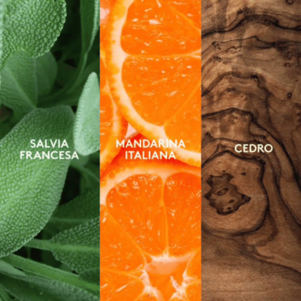 Alpha Esika 75 ml + Desodorante