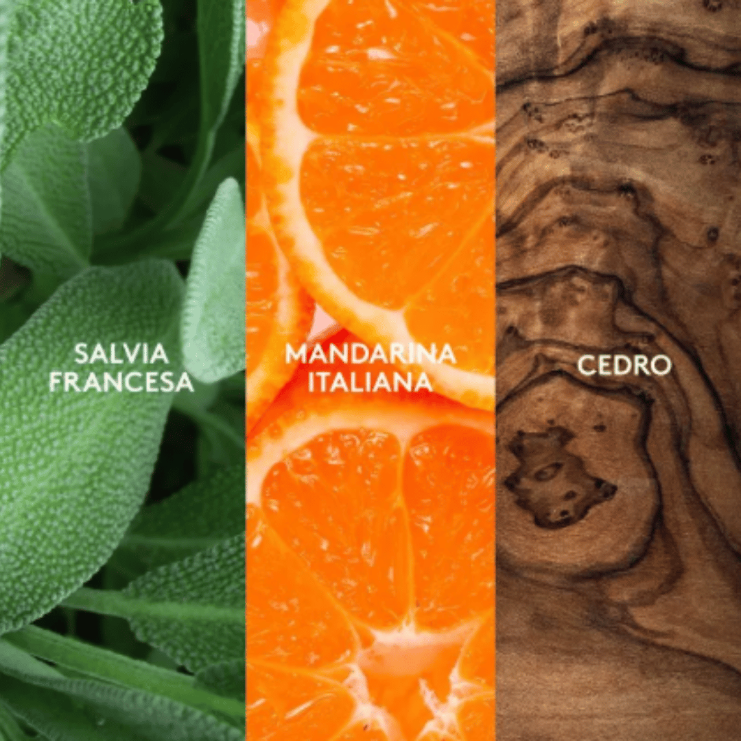 Alpha Esika 75 ml + Desodorante