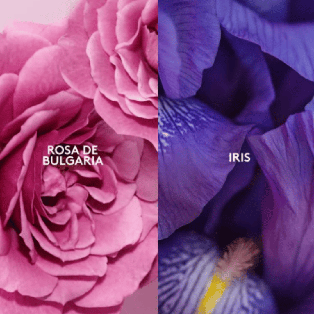 Grazzia Esika 50 ml + Desodorante