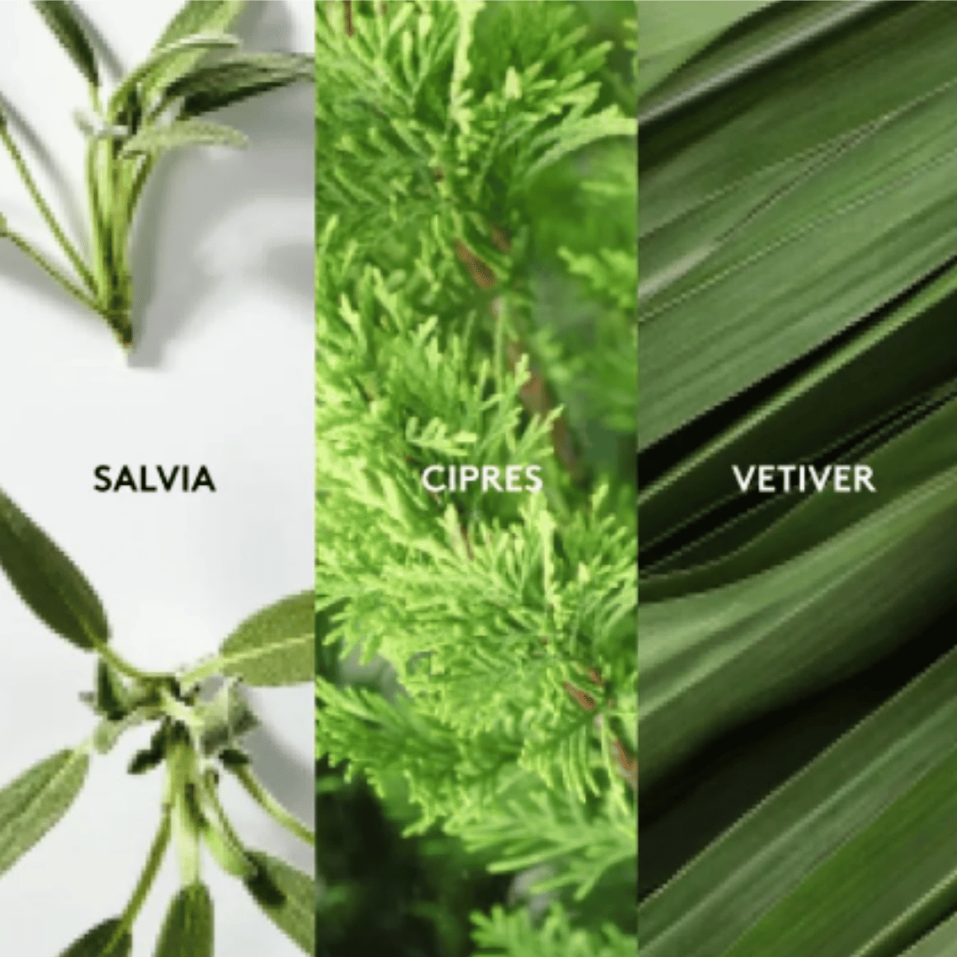 Cardigan Eau de Toilette Esika 90 ml + Desodorante