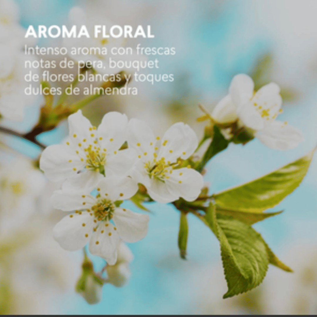 Girlink Inspire Cyzone 50ml + Desodorante