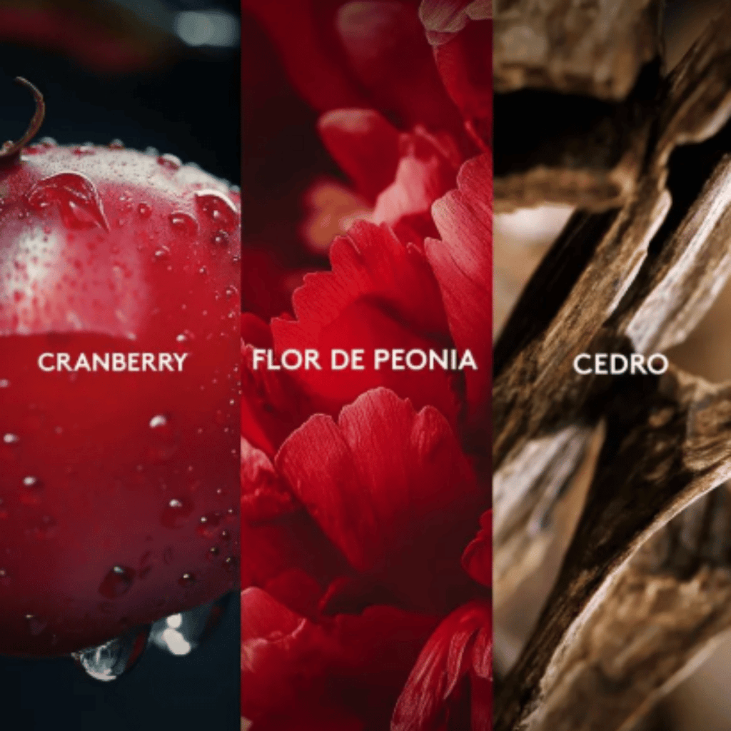 Vibranza Musique Esika 45 ml + Desodorante