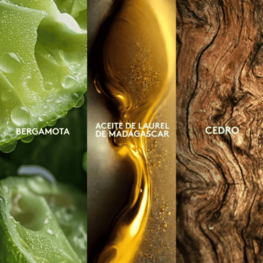 Winner Kalos Max Esika 100 ml + Desodorante