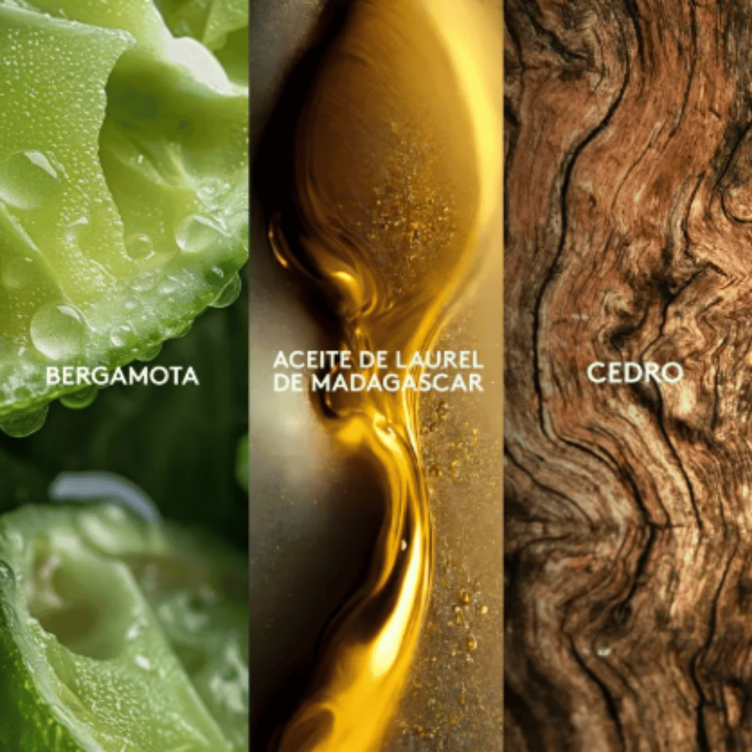 Winner Kalos Max Esika 100 ml + Desodorante