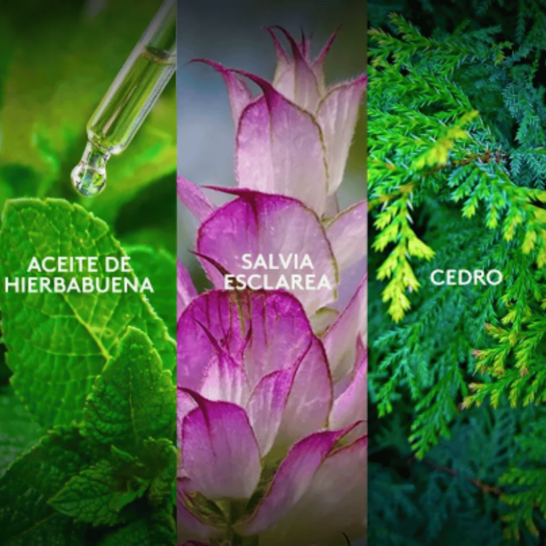 Winner Sport Edición Limitada Mundial Esika 100 ml + Desodorante