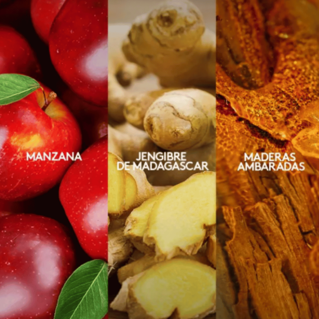 Magnat Select Esika 90 ml + Desodorante