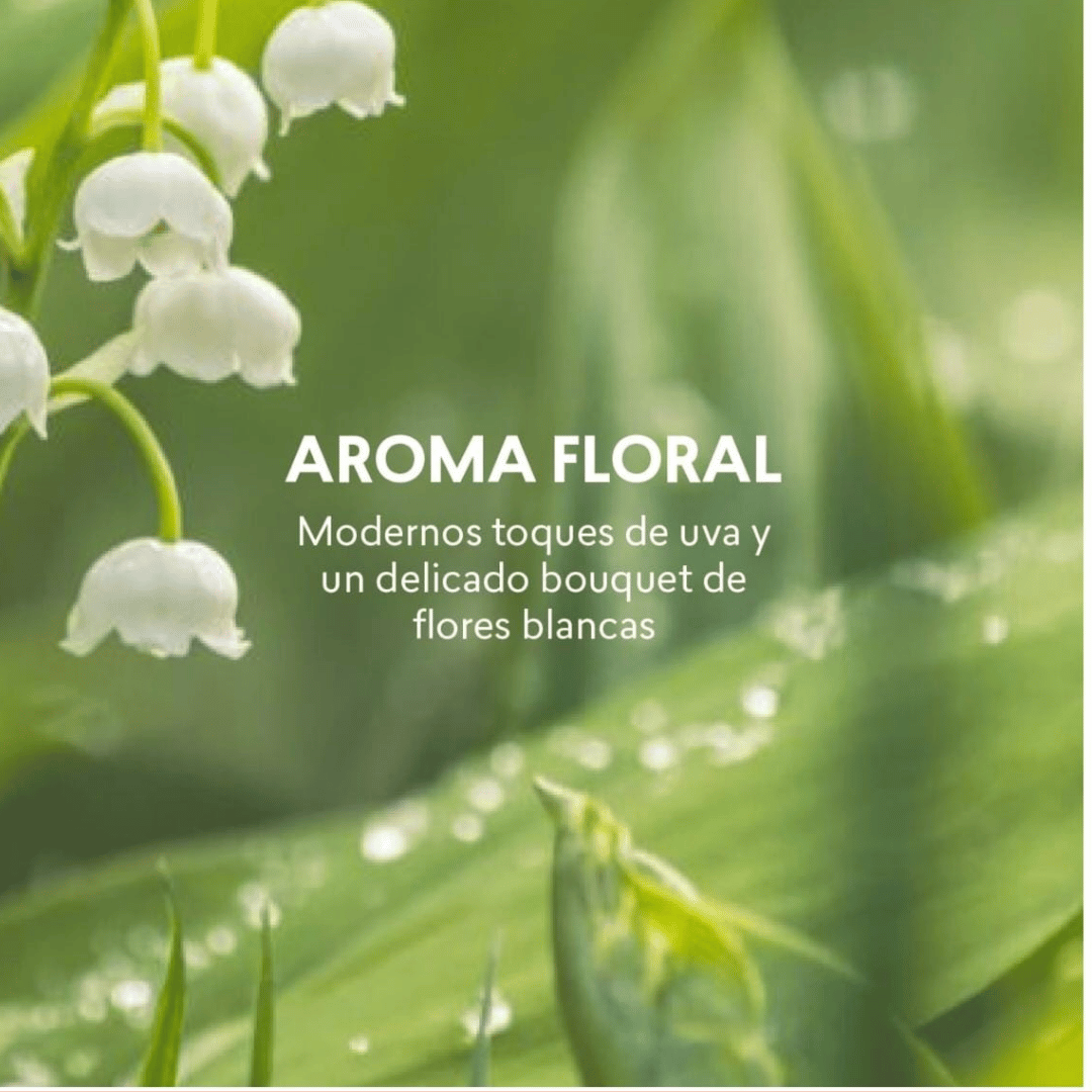 Girlink Cyzone 50 ml +Desodorante